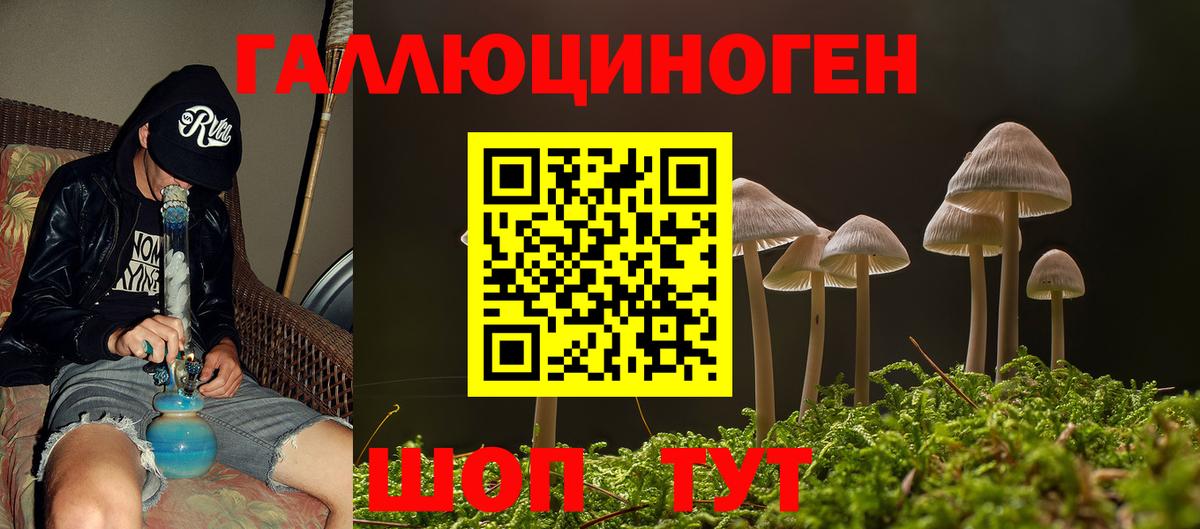 Сокол  купить закладку  Вход с VPN  Галлюциногенные грибы Psilocybine cubensis 