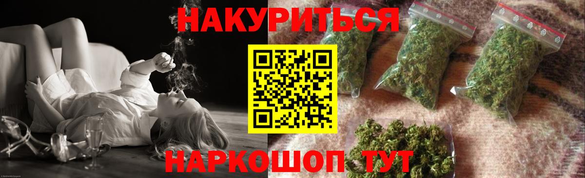 МАРИХУАНА сатива Сокол